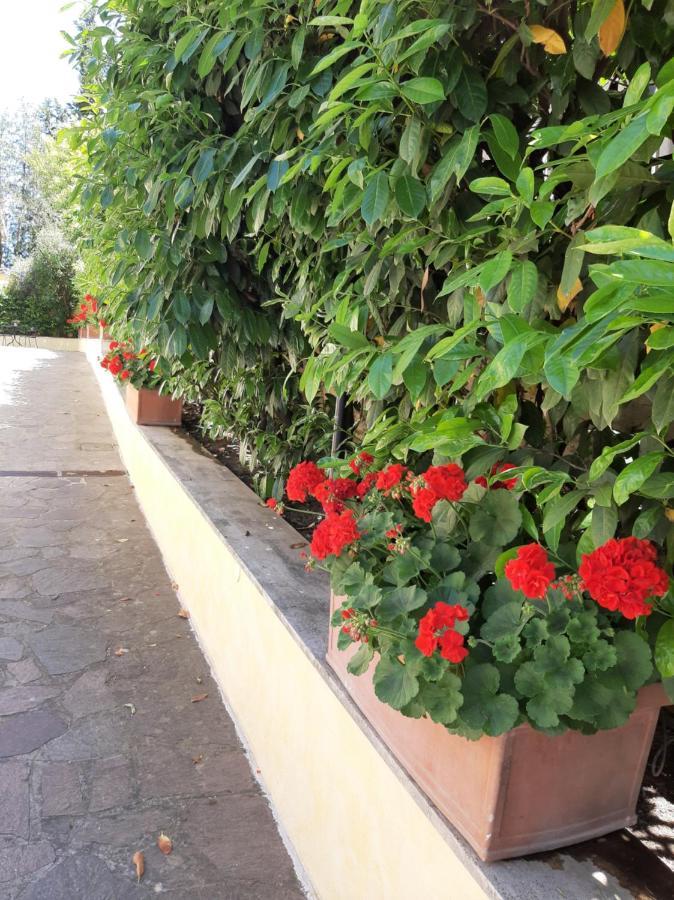 רומא Villa Orsini מראה חיצוני תמונה