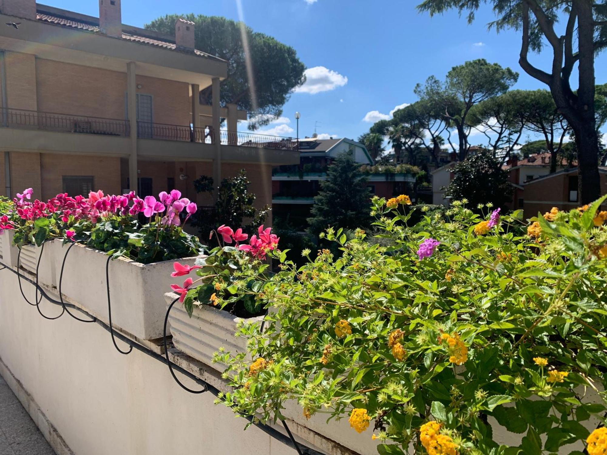 רומא Villa Orsini מראה חיצוני תמונה