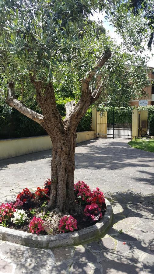רומא Villa Orsini מראה חיצוני תמונה